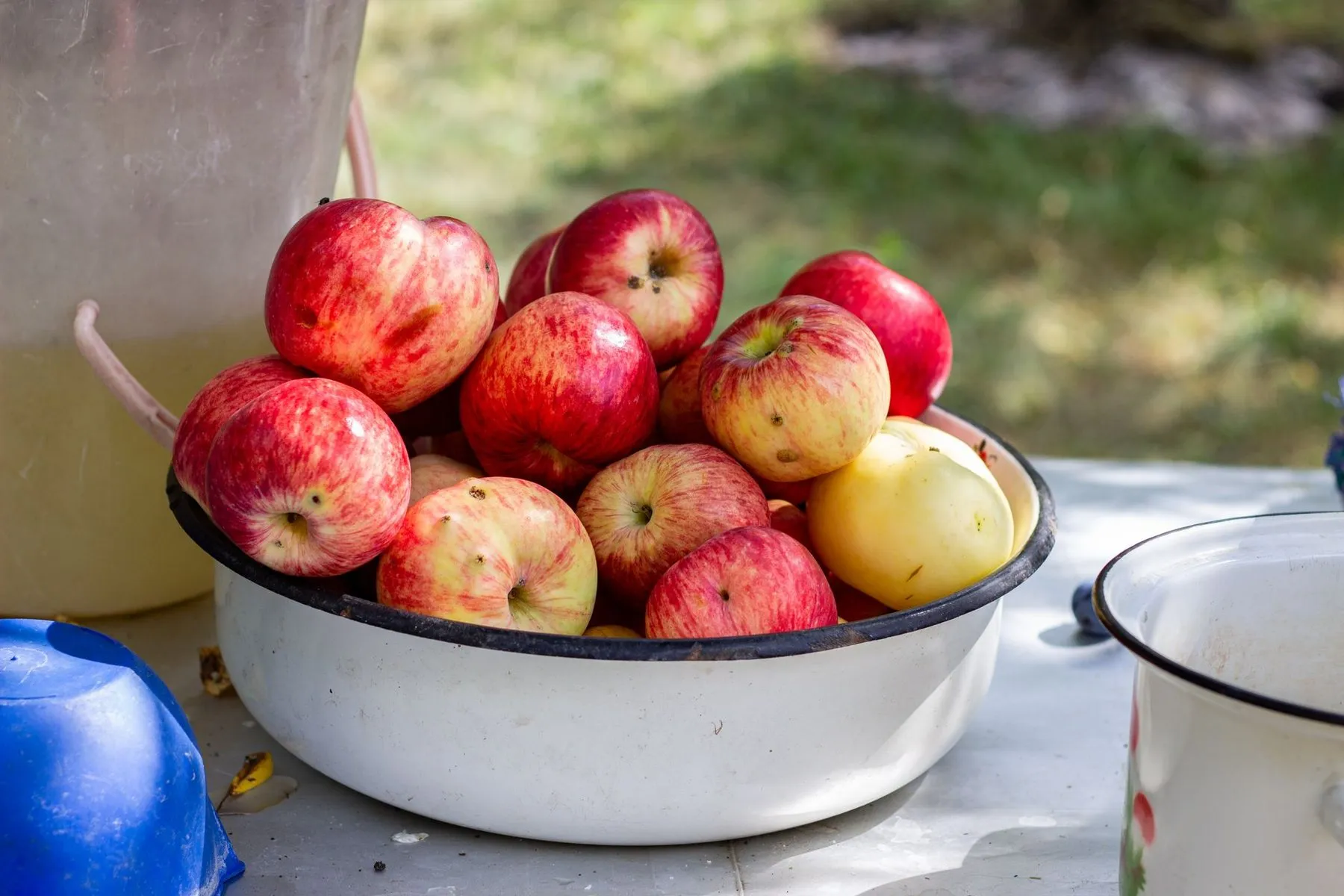 A white enamel bowl piled with red apples on an outdoor table