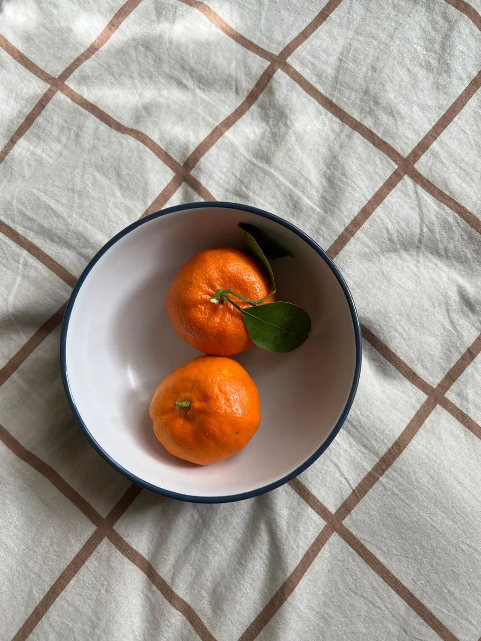 White enamel bowl with a dark blue rim holding two clementines on a checked tablecloth