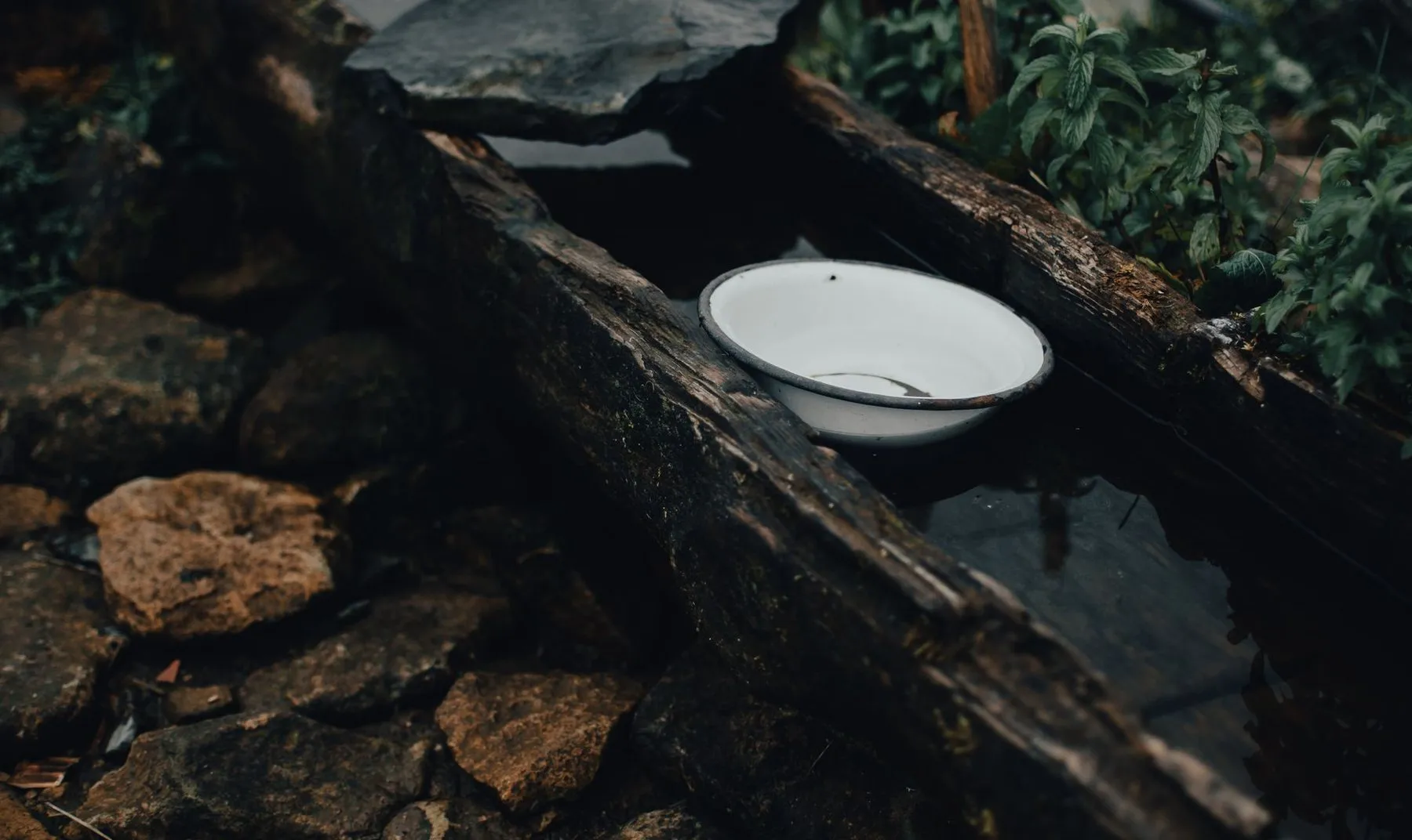 A white enamel bowl resting in a stream between mossy rocks