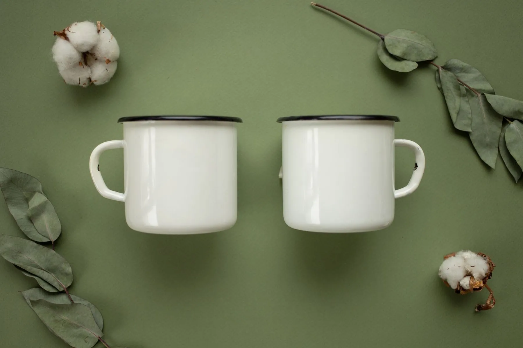 Two white enamel mugs laid on a sage green surface with cotton flowers and eucalyptus